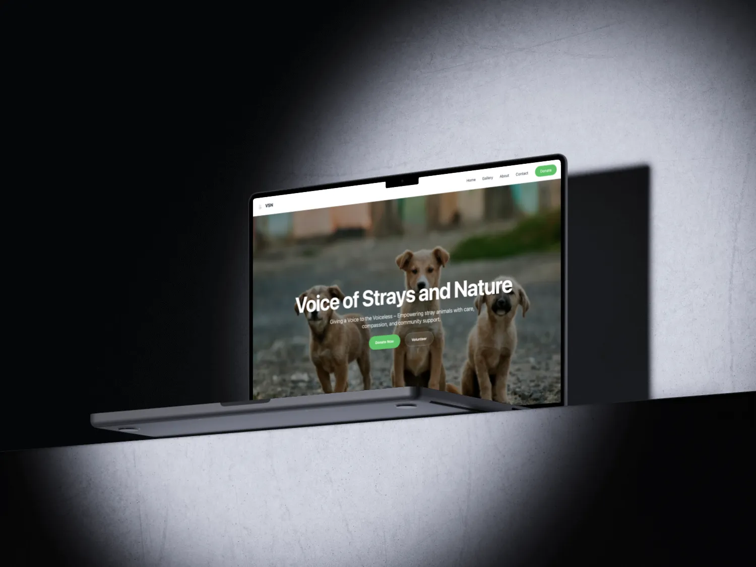 Voice of the strays NGO